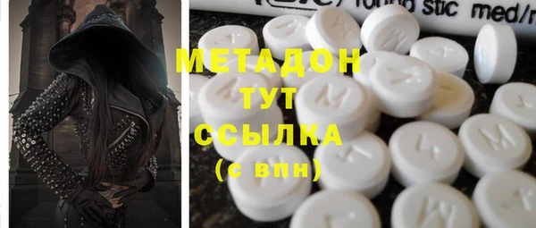 прущие грибы Покачи