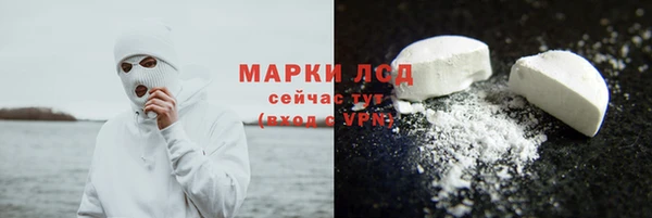 прущие грибы Покачи