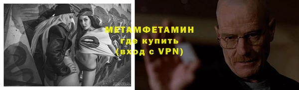 прущие грибы Покачи