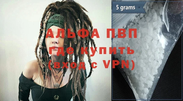 прущие грибы Покачи