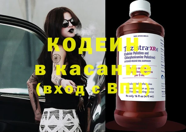 прущие грибы Покачи