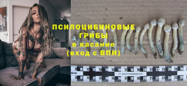 прущие грибы Покачи