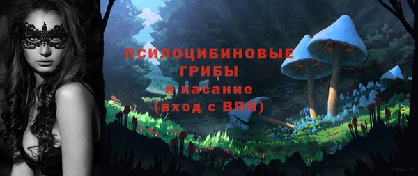 ALPHA PVP Покровск